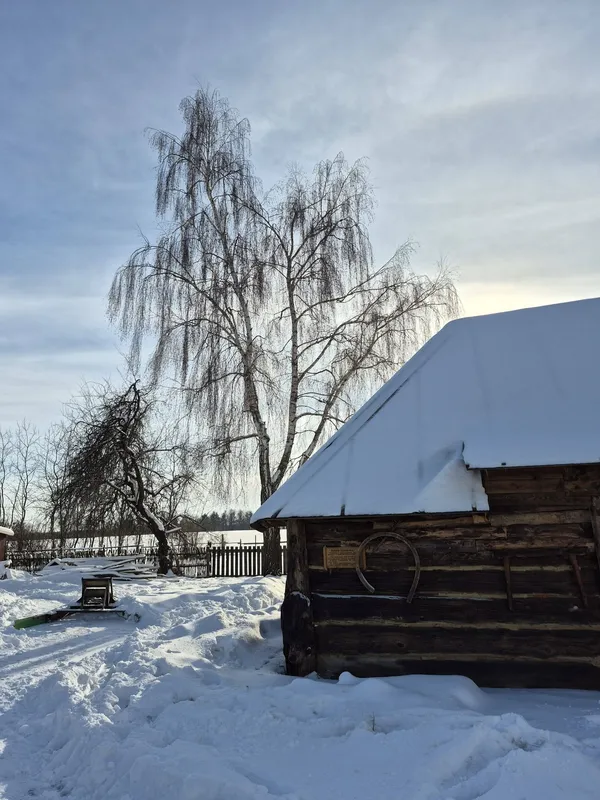 Старовинне село серед снігів: волинян зачарували неймовірними світлинами (фото)