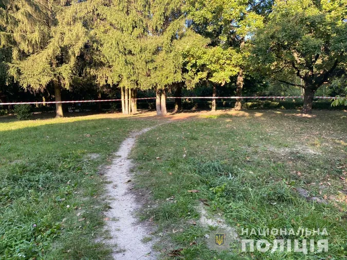 Зґвалтування у луцькому парку: у поліції розповіли, як вистежували злочинця