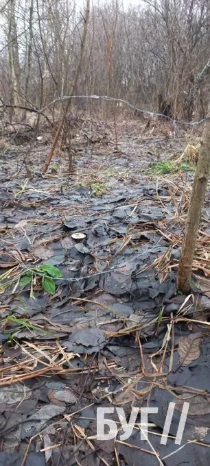 У волинському лісі невідомі встановили смертельні пастки для тварин (фото 18+)