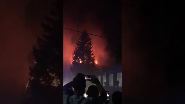 З'явилося відео пожежі палетного заводу неподалік Луцька
