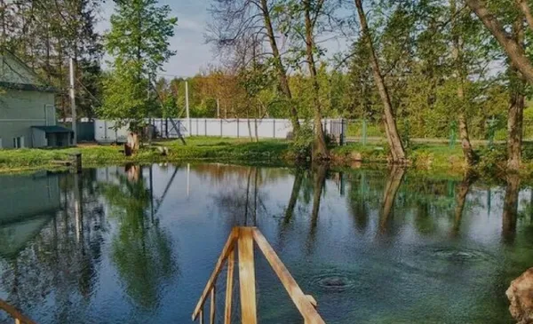 Вода бурлить і стоїть туман: на Волині з триметрової глибини озера б'ють унікальні цілющі джерела (фото)