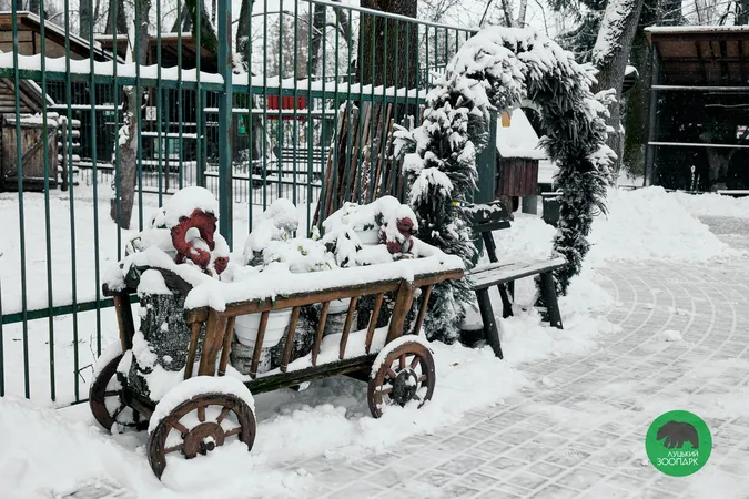 Який вигляд має засніжений Луцький зоопарк (фото)