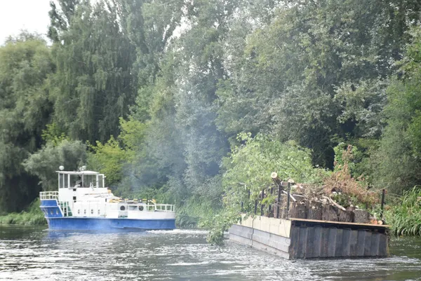 У Луцьку Стир чистять від повалених дерев (фото, відео)