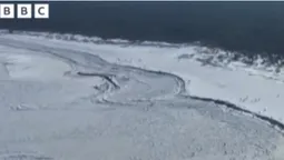 Через сильні морози замерзло Балтійське море (відео)