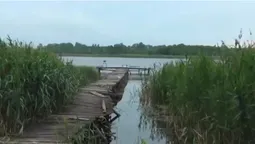 На Поліссі ховається глибоченне озеро, яке рибалки тримають у таємниці (відео)