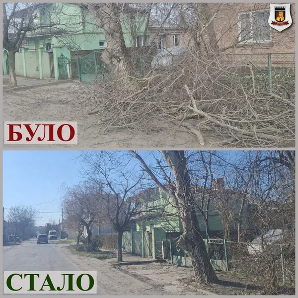 У Луцьку обленерго захарастило гіллям територію біля приватного будинку (фото)