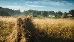Пахне сіном крізь екран: фотограф показав жнива в селі на Волині (фото)