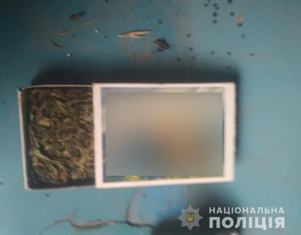 У Ківерцівському районі чоловік сушив у гаражі пів кілограма конопель (фото)