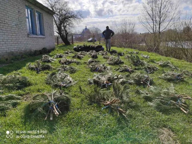 У Нововолинську на озері встановили штучні нерестовища (фото)
