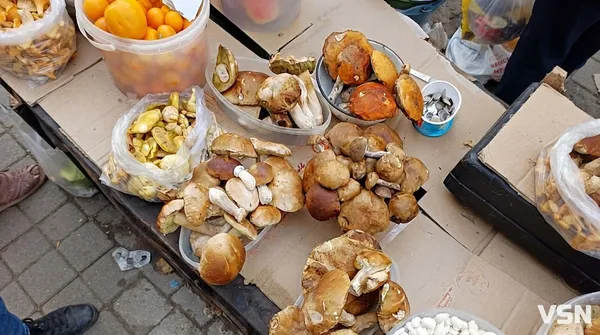 На ринку в Луцьку продають гриби: скільки коштує кілограм (фото)
