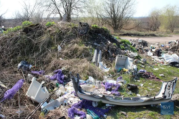 Околицю волинського міста закидали сміттям (фото)