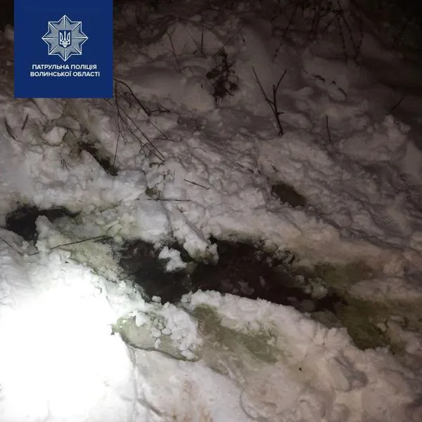У Луцьку серед ночі з цистерни зливали зелену речовину з їдким запахом (фото, відео)