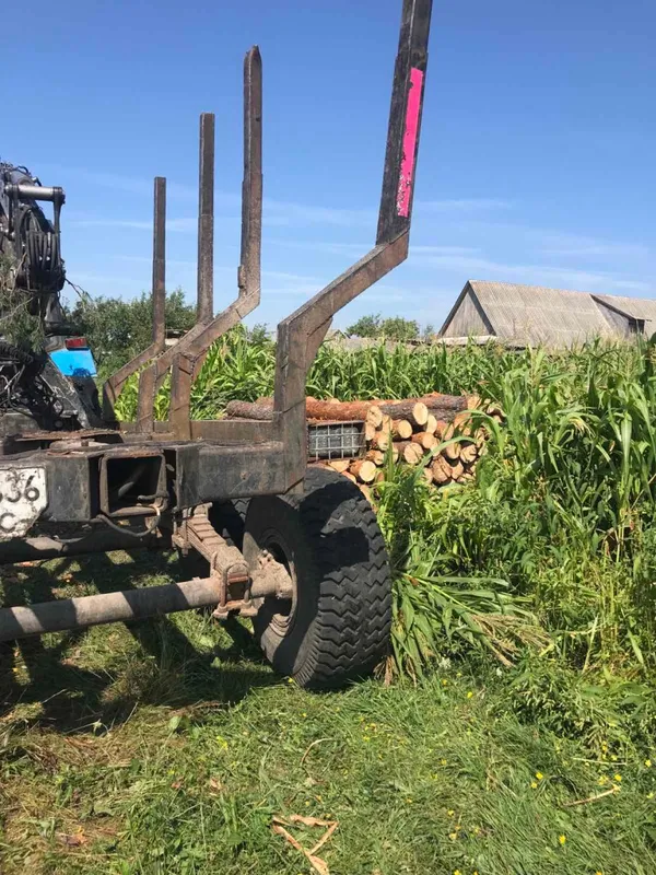 На Камінь-Каширщині біля приватного будинку знайшли деревини на 40 тисяч (фото)