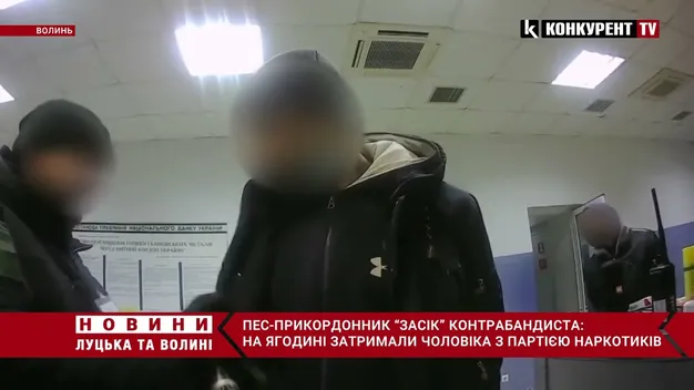 У «Ягодині» службовий собака винюхав в автобусі наркотики (фото, відео)