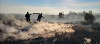 Шість пожеж за добу: на Волині другий день гасять торфовище (фото)