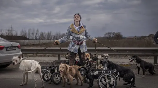 Анастасія Тиха