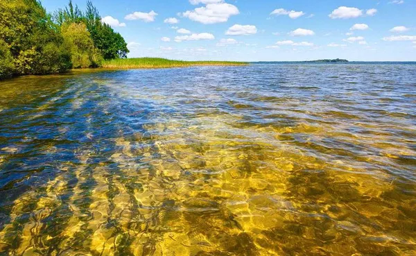 Головне у Луцьку: підсумки тижня
