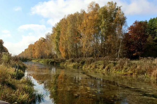 Що приховує вода волинських озер і річок: фахівці перевірили Прип'ять, Світязь і ще чотири озера (фото)