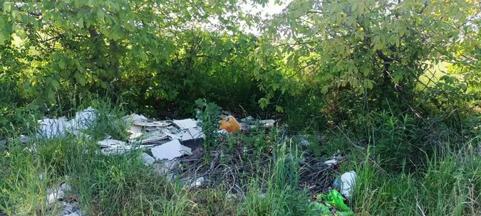 На околицях Луцька розвели стихійні сміттєзвалища (фото)