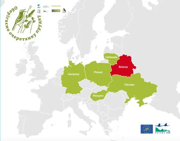 На межі повного зникнення: в нацпарку на Волині гніздиться дуже рідкісний птах