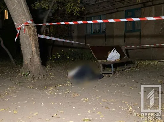 Чоловік кинувся з ножем на перехожих: є вбиті й поранені
