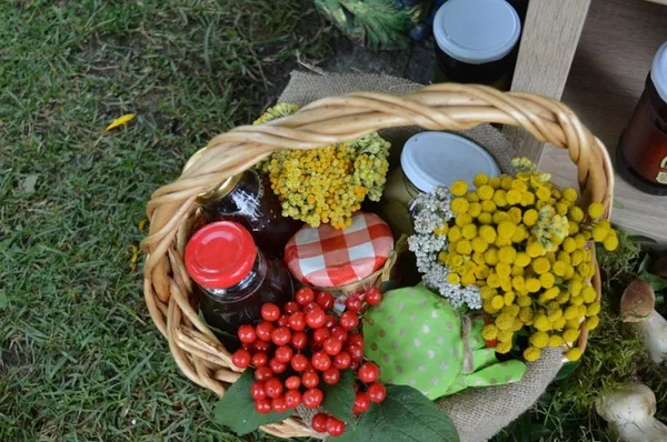 Волинські лісівники презентували свою продукцію на святі урожаю (Фото)