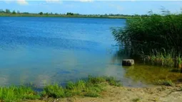 На Волині серед дикої природи ховається глибоке льодовикове озеро з бірюзово-молочною водою (відео)