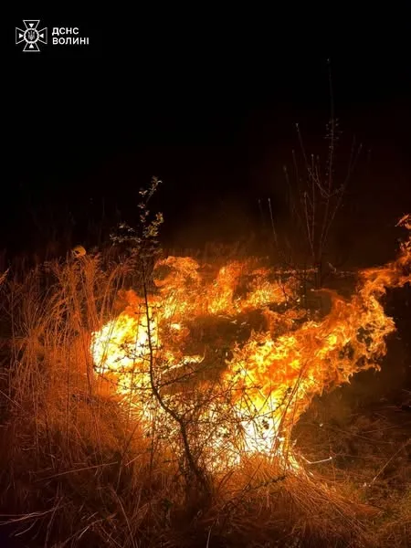 На Волині вогонь випалив 34 гектари сухої трави, чагарників та очерету (фото)