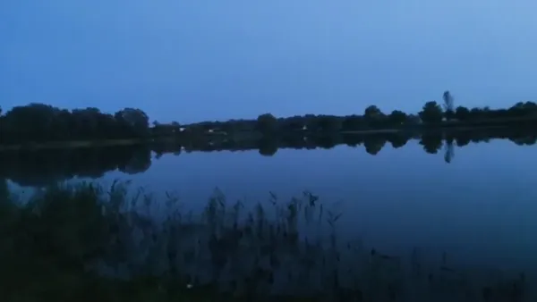 Шепіт очерету і магія води: чому «озеро кохання» біля Луцька називають місцем сили (відео)