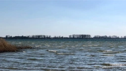 Море серед лісу: волинські морські краєвиди закохують мережу (фото)