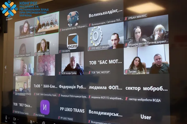 Погуляйко провів онлайн-зустріч з волинськими підприємцями: про що говорили (фото, відео)