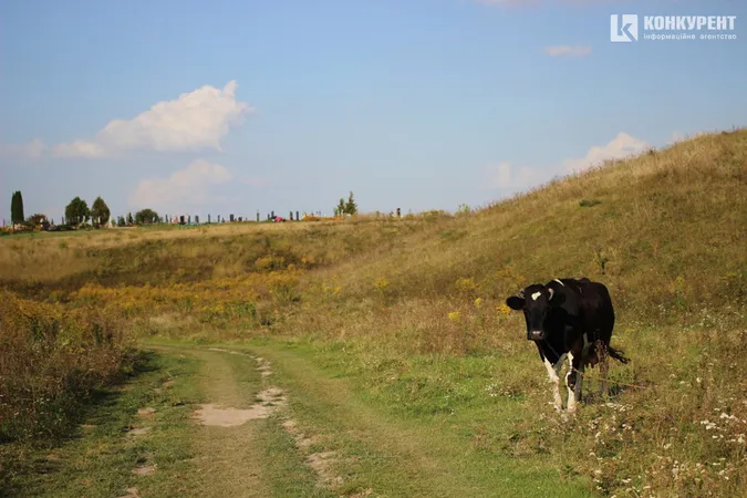 Бабине літо у селі під Луцьком (фото)