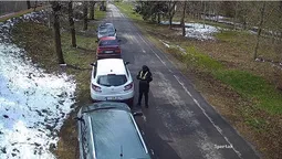 У центральному парку Луцька виявили «паркохамів» – їх чекає штраф (відео)