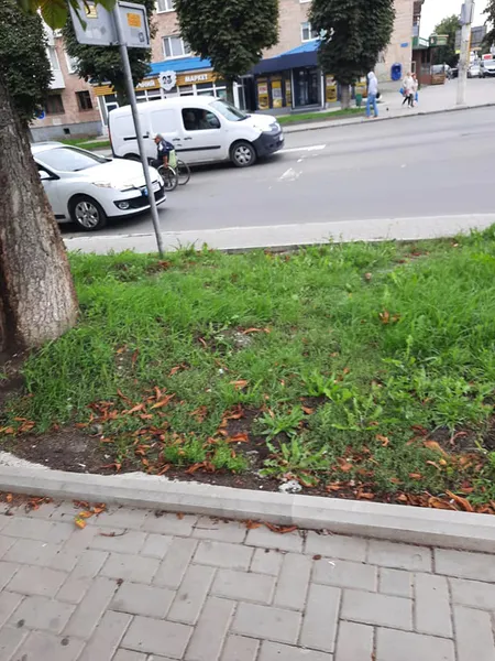 У Луцьку проїзною частиною їздив чоловік на візку (фото)