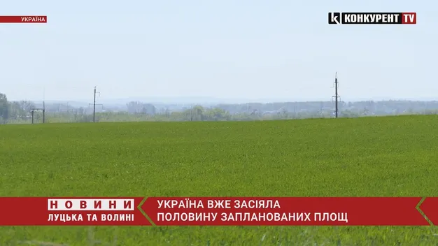 Україна засіяла основними сільськогосподарськими культурами половину запланованих площ (відео)
