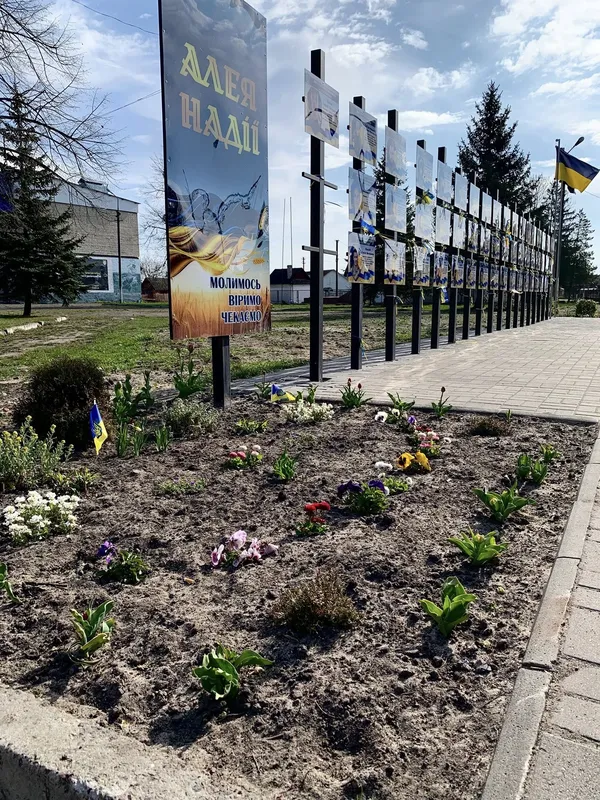 🌷Висадила тисячу тюльпанів: як квітникарка роками змінює Шацьк (фото)