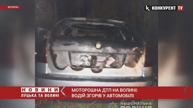Згорів разом з автівкою: на Волині сталася смертельна ДТП (фото, відео)