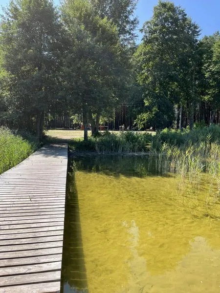Піщаний берег і прозора, як сльоза, вода: на Волині є озеро, дно якого вкрите унікальним добривом (фото)