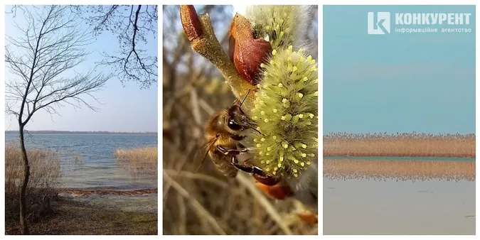 🌱Весняне пробудження: як Шацькі озера прокидаються від зимової сплячки (фото)
