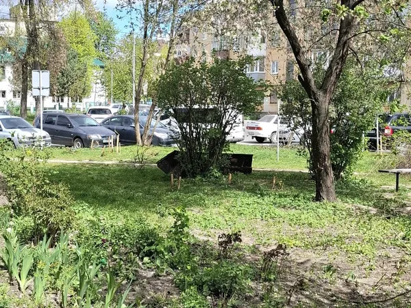У полоні негоди: буревій у Луцьку зірвав дахи з будівель (фото)