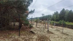 Цвинтарі, які зникли в одну мить: на Поліссі знайшли таємничі покинуті місця (фото)
