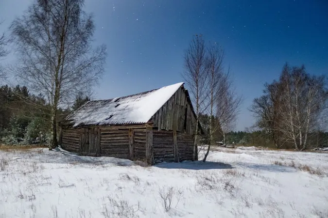 Як в дитинстві у бабусі: волинське село під покровом снігу (фото)