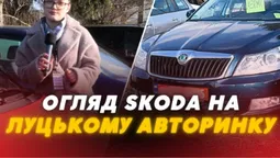 Надійні та доступні кожному: скільки коштує Skoda на луцькому авторинку