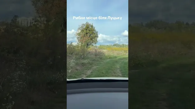 З'їхали з траси – і до самої води: біля Луцька показали рибне місце (відео)