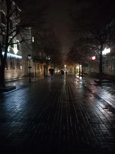 На вулиці Лесі Українки посеред Різдва згасли всі святкові ілюмінації (фото)
