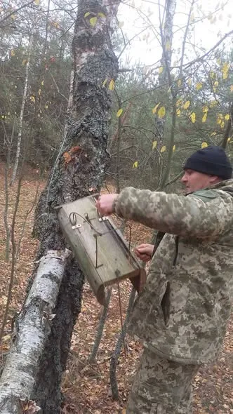 У нацпарку на Волині знайшли браконьєрські пастки на куницю (фото)