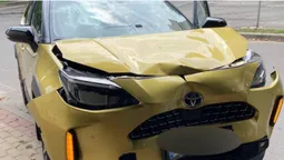 У центрі Луцька Toyota протаранила дерево на тротуарі (фото)