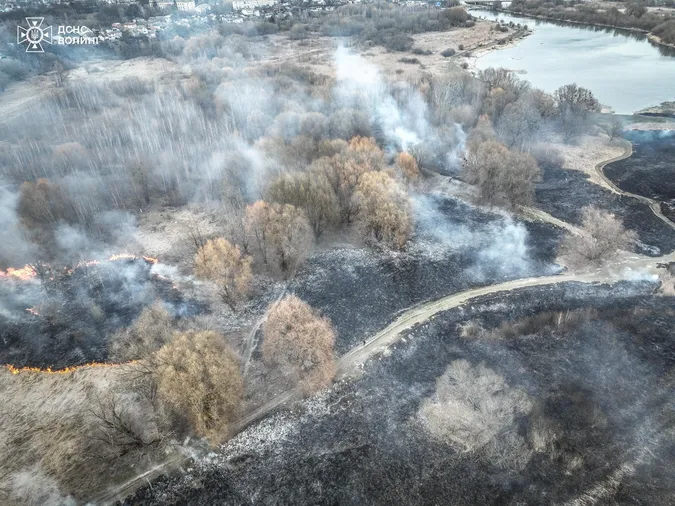 Гектари спалених територій: деталі страшної пожежі у Луцьку (фото)