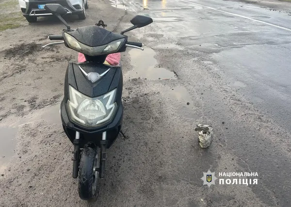 В домашнього тирана і в п'яного скутериста: у волинян знайшли гранати Ф-1 із запалами (фото)