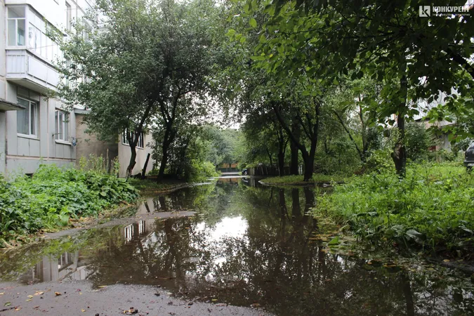 Підтоплені двори і опале листя: наслідки грози у Луцьку (фото)